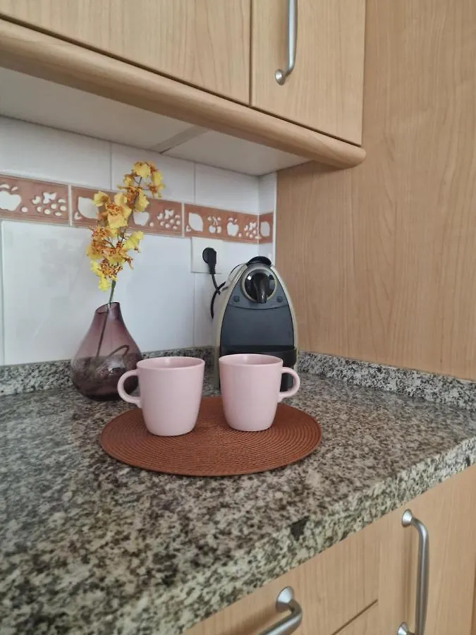 מאלגה Picasso Apartment ספרד