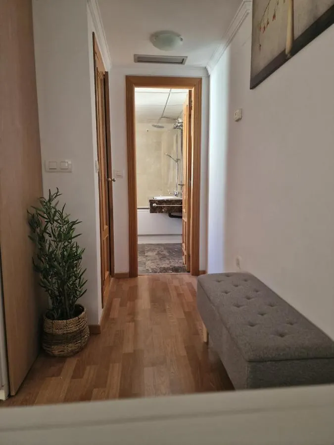 Picasso Apartment マラガ